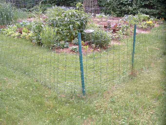 Used along three foot metal fence posts, a garden 