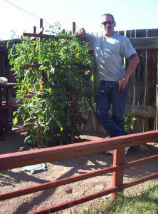 John-and-Tomato-Trellis John and Tomato Trellis 222x300 Another Trellis Design for the Veggie Garden