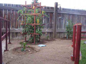 Wooden-Trellis Wooden Trellis 300x222 Another Trellis Design for the Veggie Garden