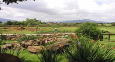 Mexican Garden Landscape