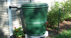 Rain Barrel System