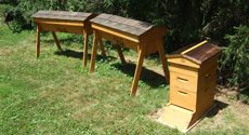 Backyard Apiary