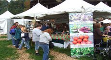 Southern Exposure Seed Exchange Booth