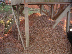 Leafy Compost Pile