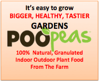 Poopeas