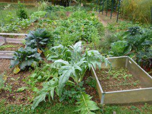 Fall Garden Pic 300x225 Preparing the Garden to Meet Hurricane Sandy