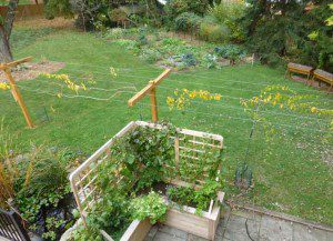 Garden Overview 300x217 Preparing the Garden to Meet Hurricane Sandy