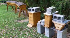 Beehives Prepped for Hurricane