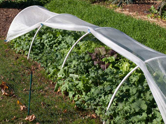 Protective Devices For Fall And Winter Vegetable Gardens Veggie