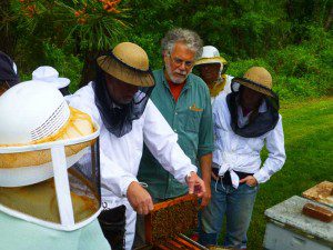 Beekeeping Workshop 300x225 Perfect Weather for a Weekend in the Vegetable Garden
