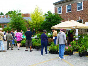 Native Plant Festival 300x225 Perfect Weather for a Weekend in the Vegetable Garden