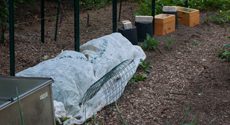 Garden Frost Protection